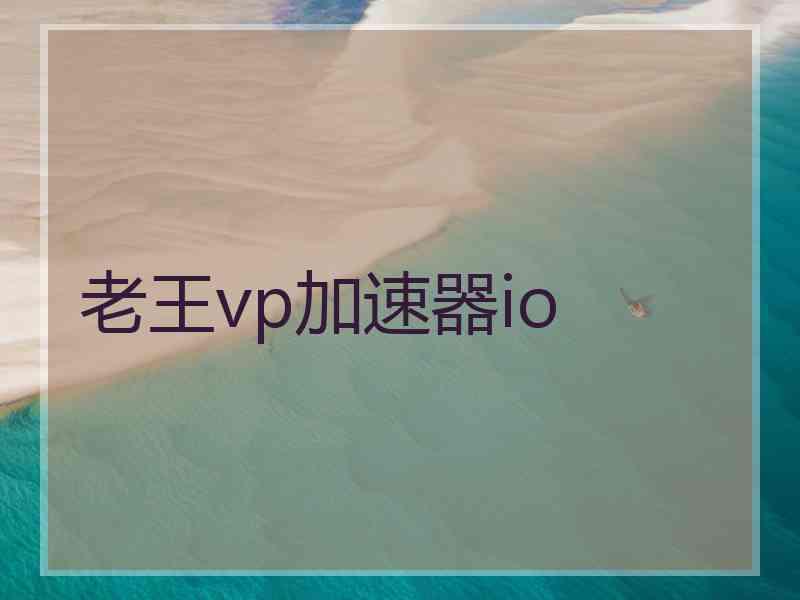 老王vp加速器io