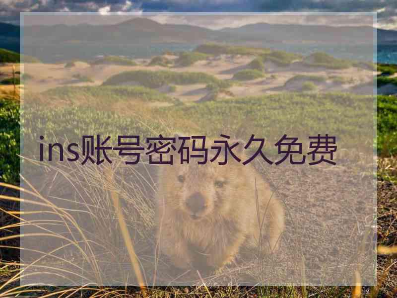 ins账号密码永久免费