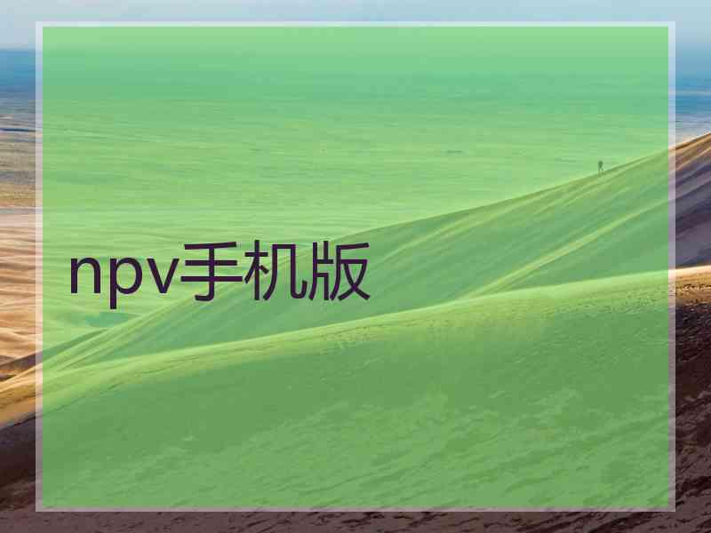 npv手机版