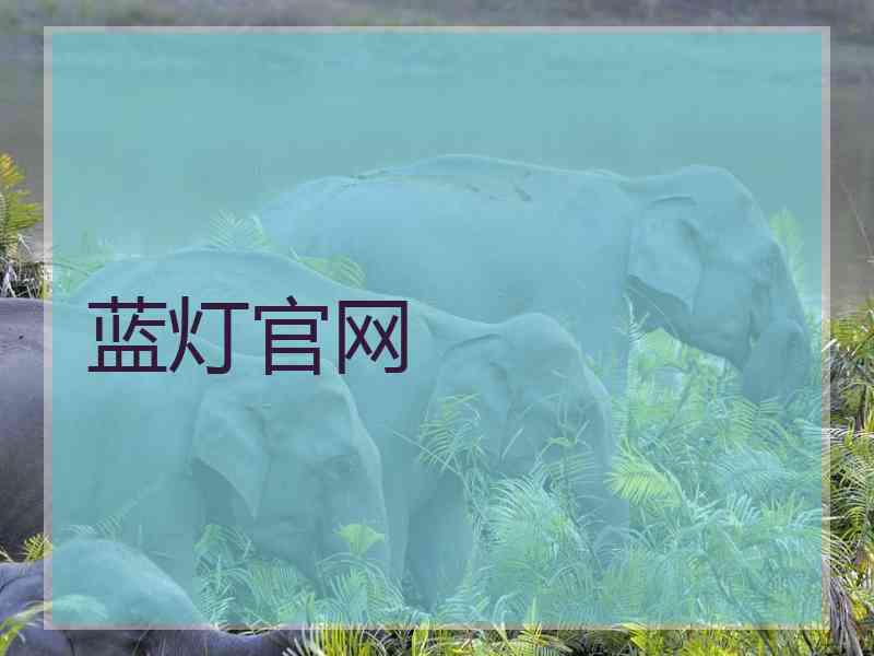 蓝灯官网