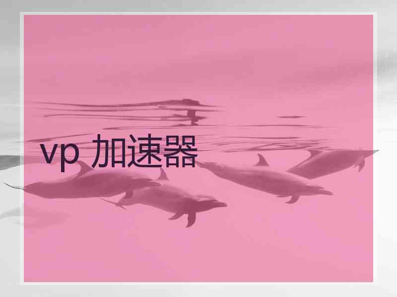 vp 加速器