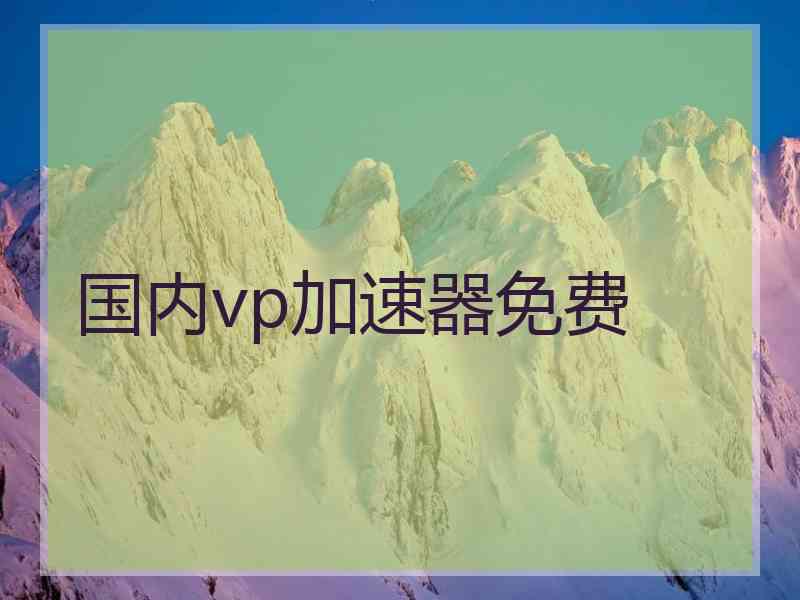 国内vp加速器免费