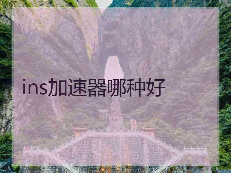 ins加速器哪种好