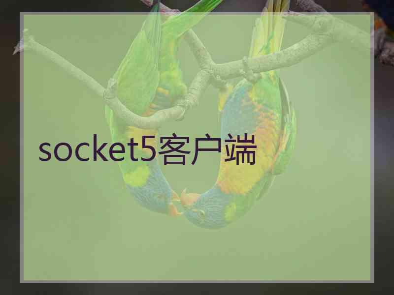 socket5客户端