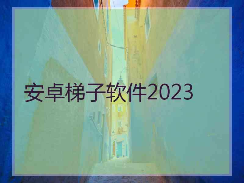 安卓梯子软件2023