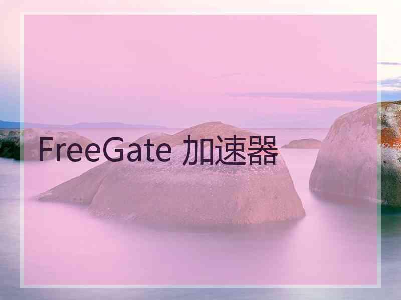 FreeGate 加速器