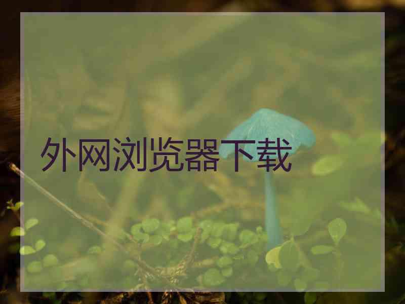 外网浏览器下载