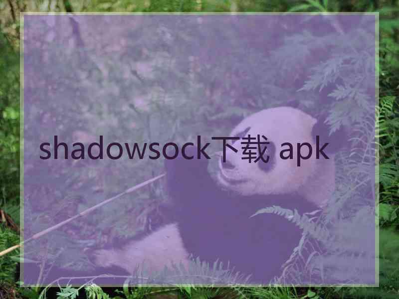 shadowsock下载 apk
