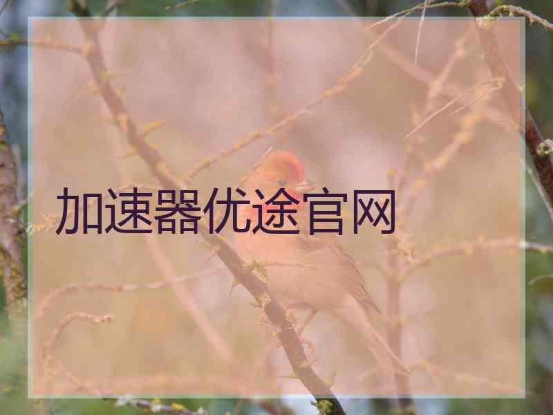 加速器优途官网