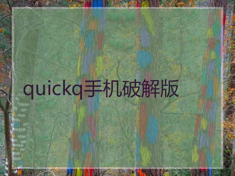 quickq手机破解版