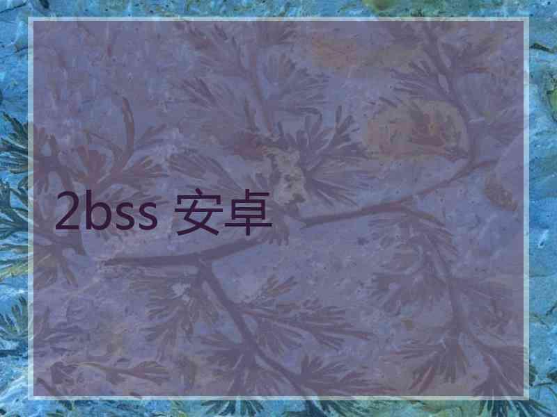 2bss 安卓