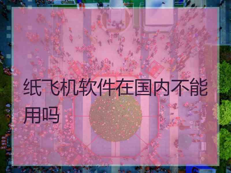 纸飞机软件在国内不能用吗