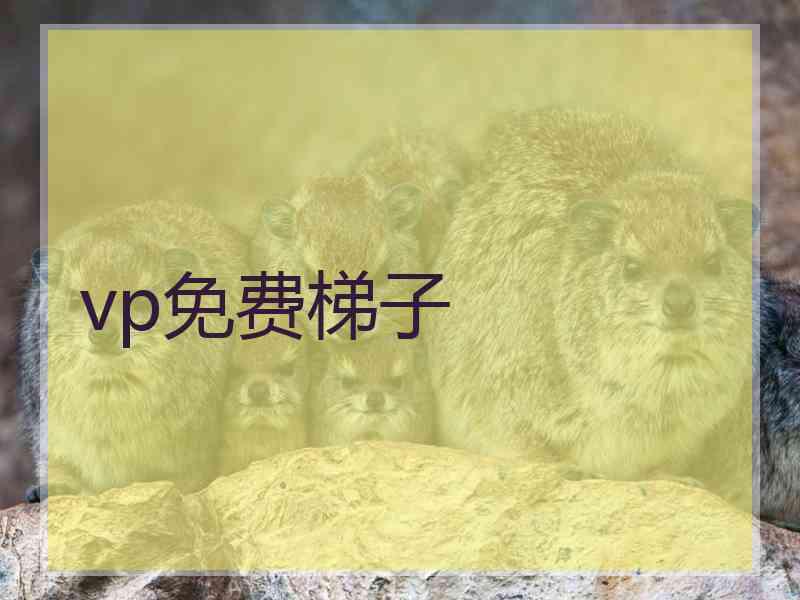 vp免费梯子