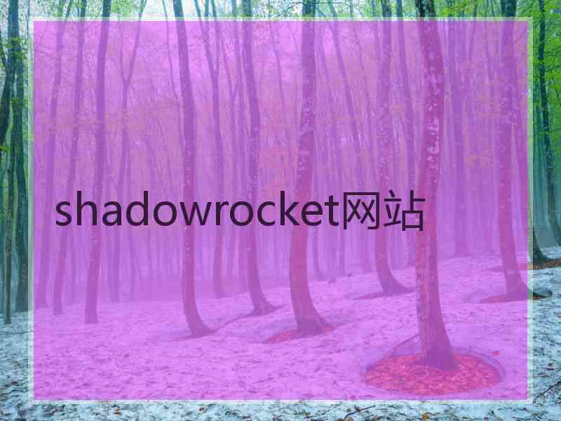 shadowrocket网站