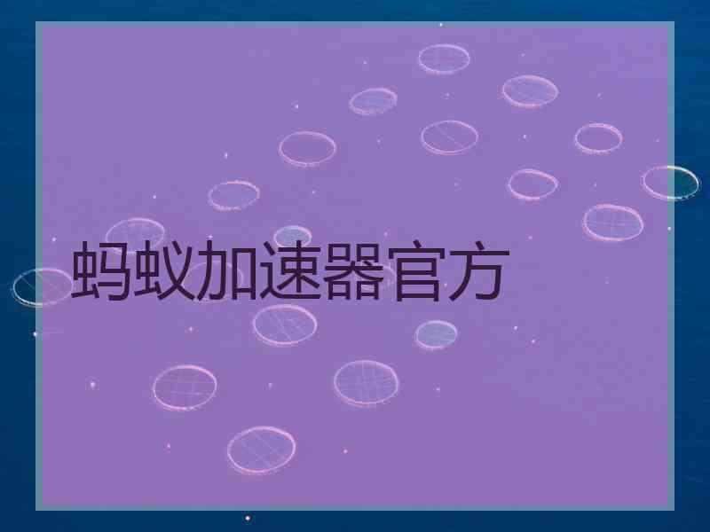 蚂蚁加速器官方