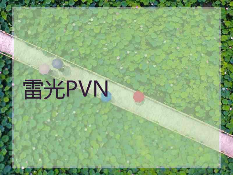 雷光PVN