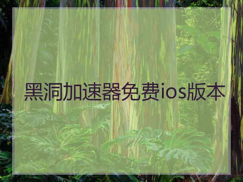 黑洞加速器免费ios版本