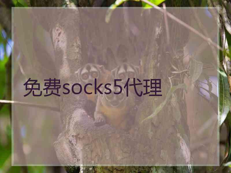 免费socks5代理