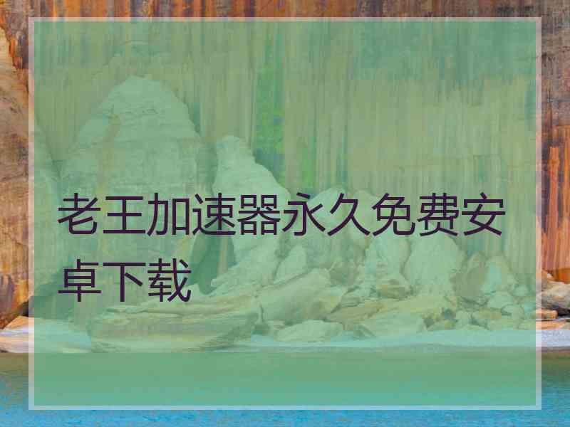 老王加速器永久免费安卓下载