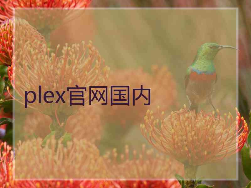 plex官网国内