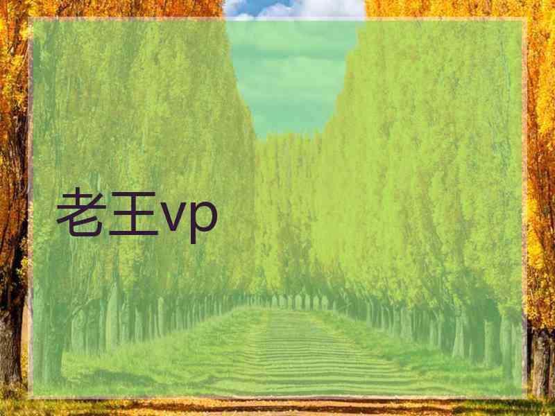 老王vp