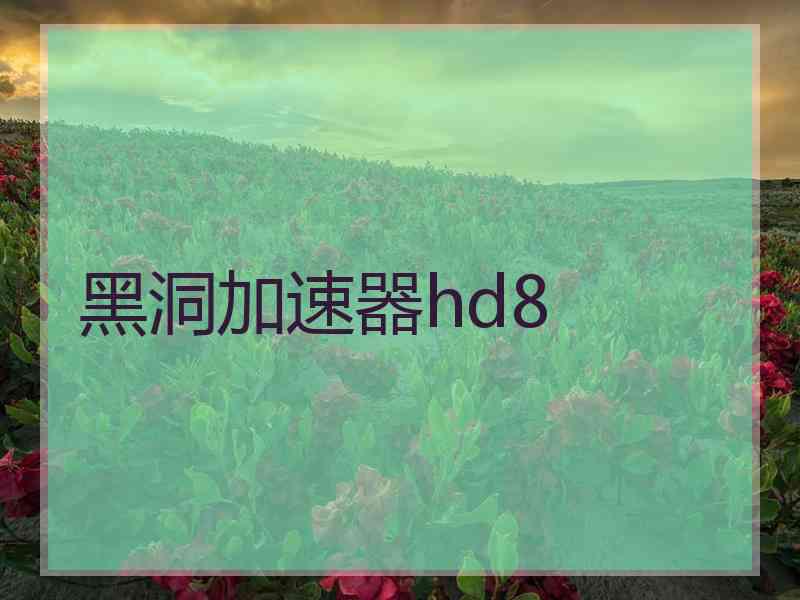 黑洞加速器hd8