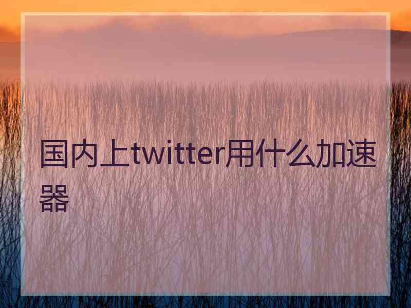 国内上twitter用什么加速器