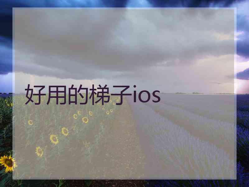 好用的梯子ios