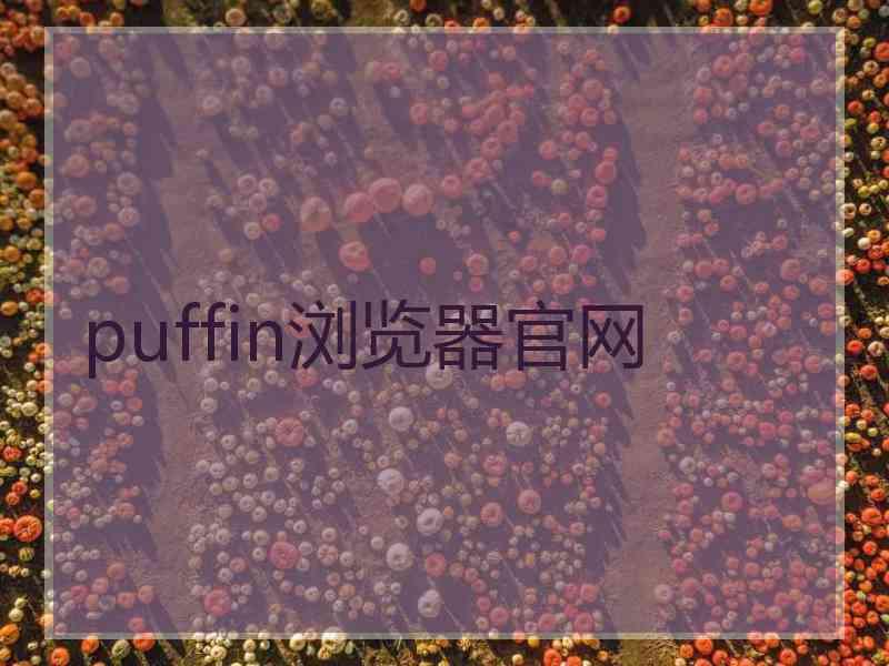 puffin浏览器官网