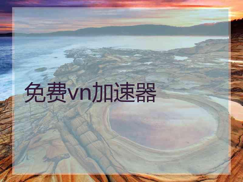 免费vn加速器