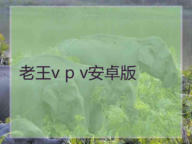 老王v p v安卓版