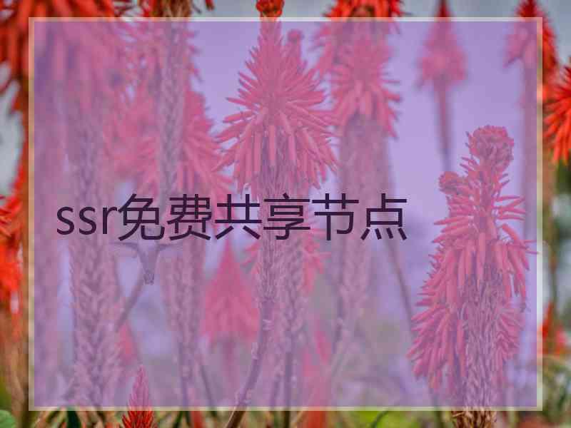 ssr免费共享节点