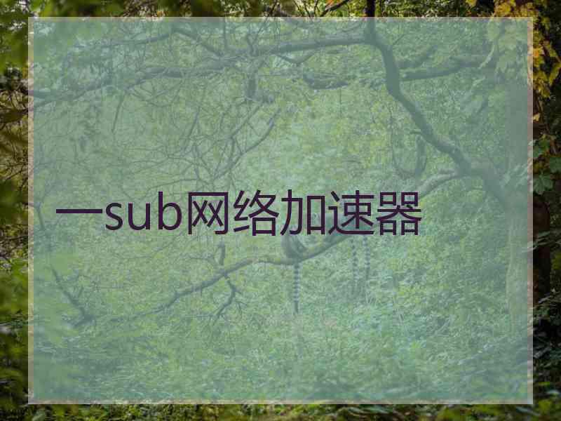 一sub网络加速器