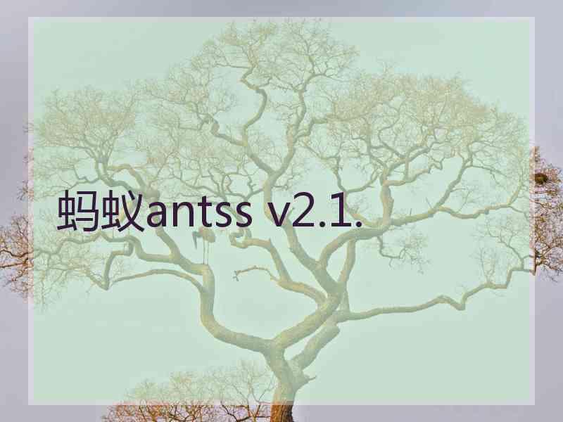 蚂蚁antss v2.1.