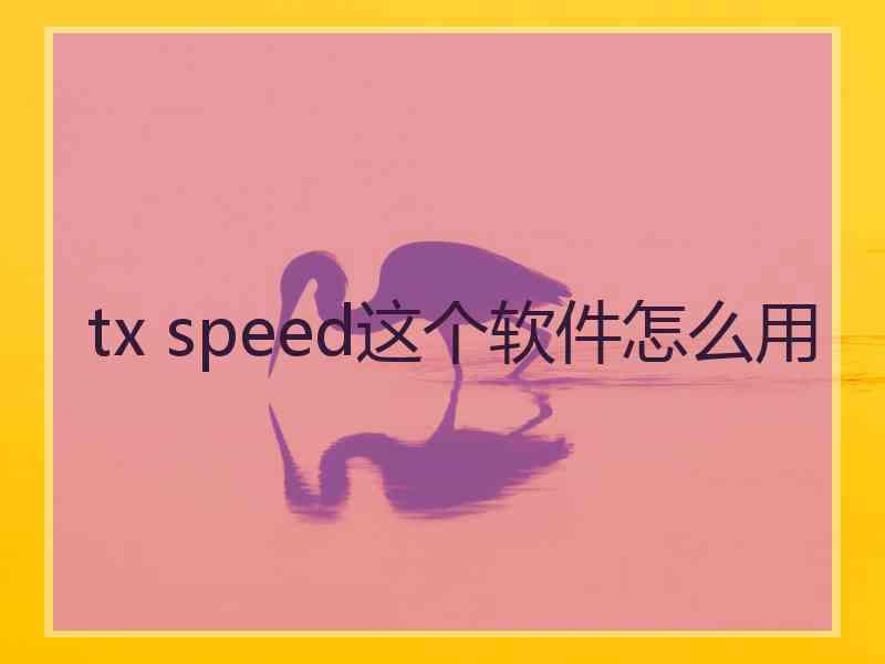 tx speed这个软件怎么用