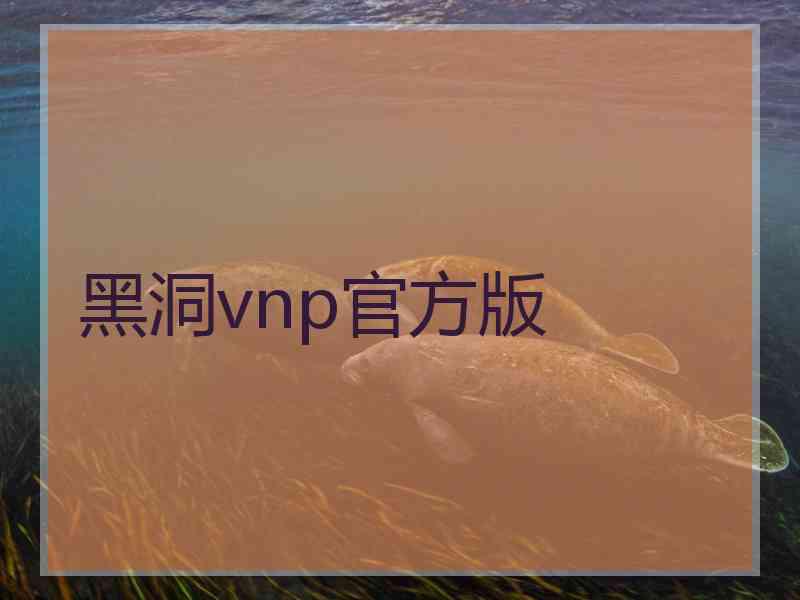 黑洞vnp官方版