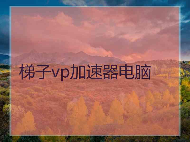 梯子vp加速器电脑