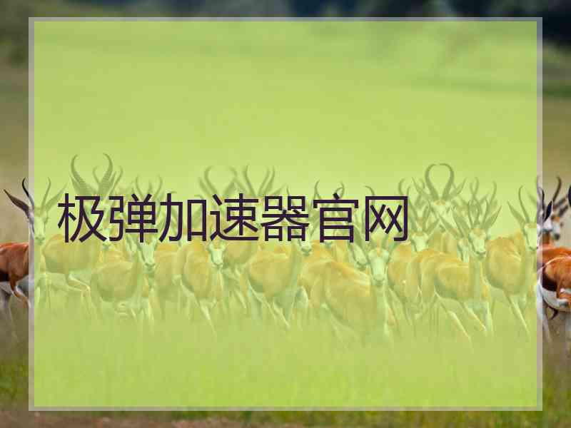 极弹加速器官网