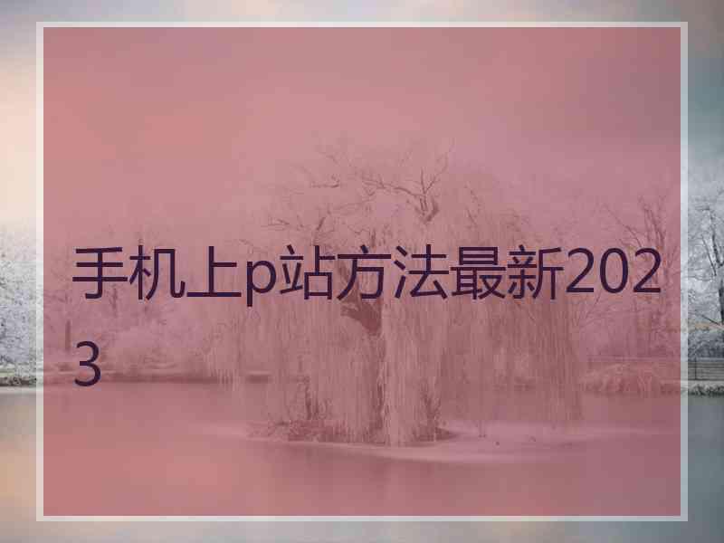 手机上p站方法最新2023