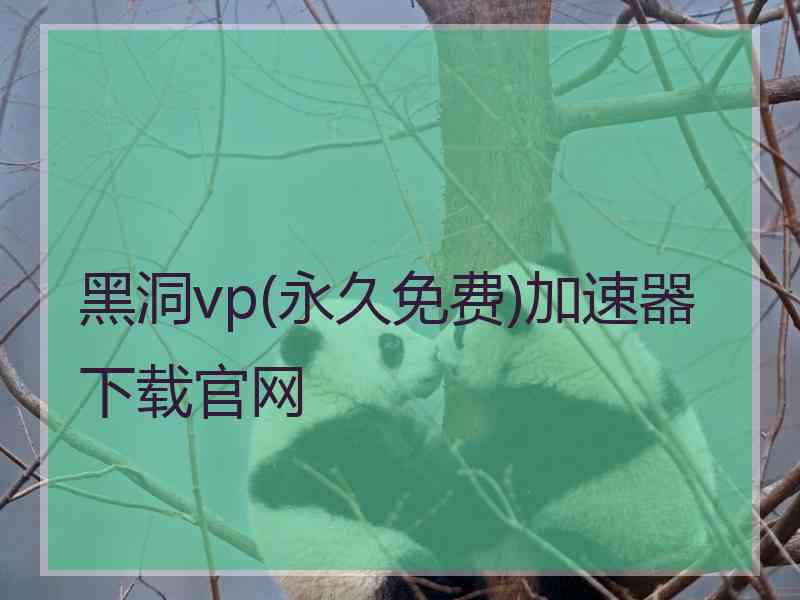 黑洞vp(永久免费)加速器下载官网