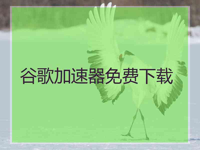 谷歌加速器免费下载