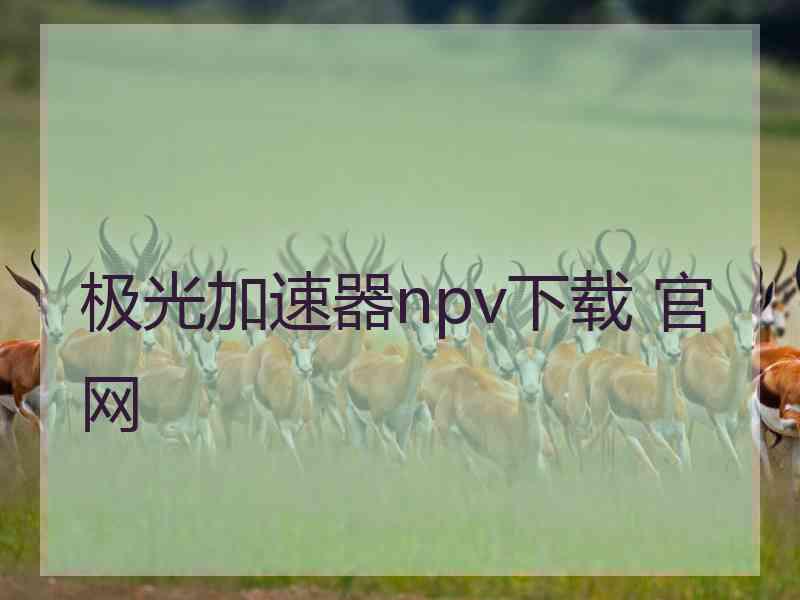 极光加速器npv下载 官网