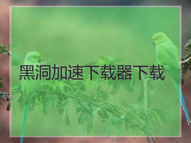 黑洞加速下载器下载