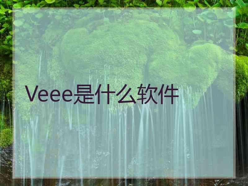 Veee是什么软件