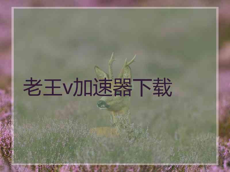 老王v加速器下载