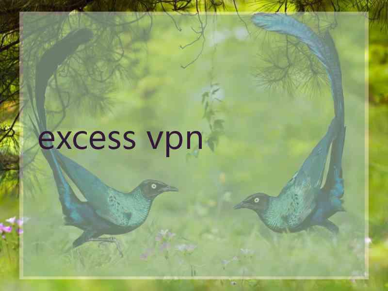 excess vpn