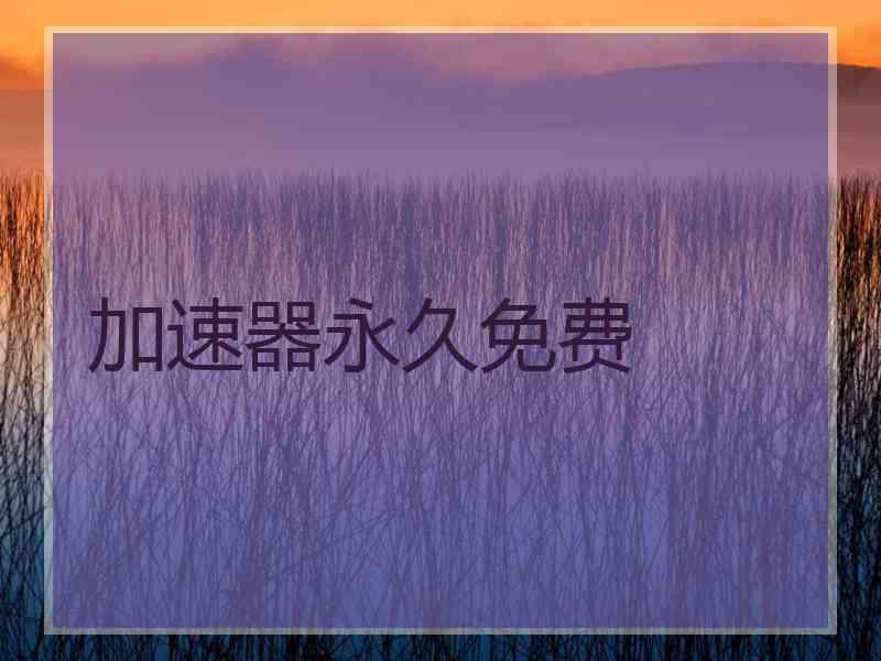 加速器永久免费