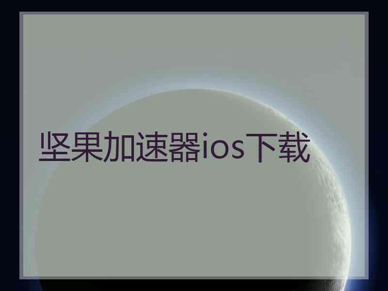 坚果加速器ios下载